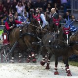 Jérôme Voutaz et ses chevaux en action lors de l'une de leurs participations au CHI de Genève.